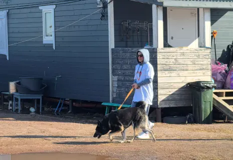 Волонтеры Setl Group отправили 300 кг помощи в зооприюты Петербурга