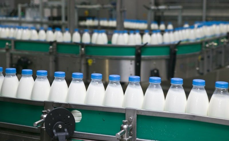 Молочные реки потекут за границу. Российские производители выходят в мир
