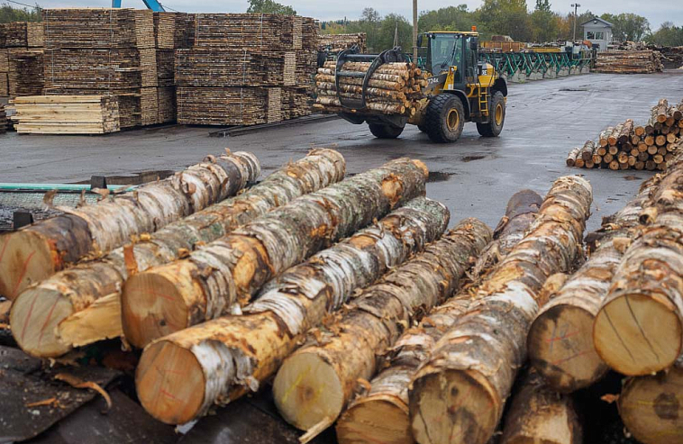 Треск древесины. Финские инвесторы покидают Ленобласть