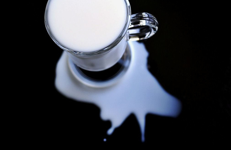 Последняя капля. Перепроизводство молока обрушило цены