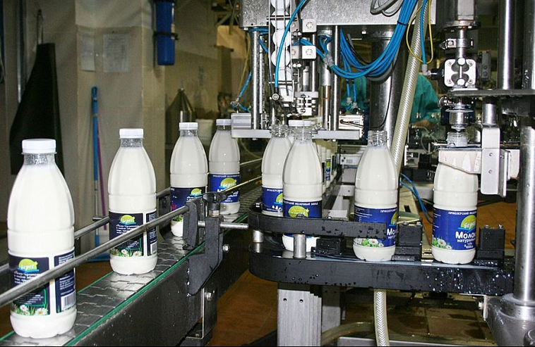 Поворот молочной реки. Приозерский молокозавод сокращает торговлю в Петербурге