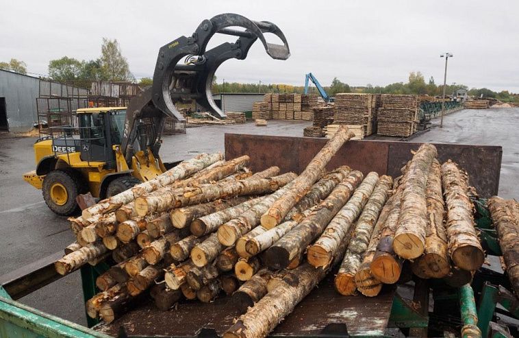 Дефицитный лес. Предприятия Ленобласти инвестируют в переработку древесины
