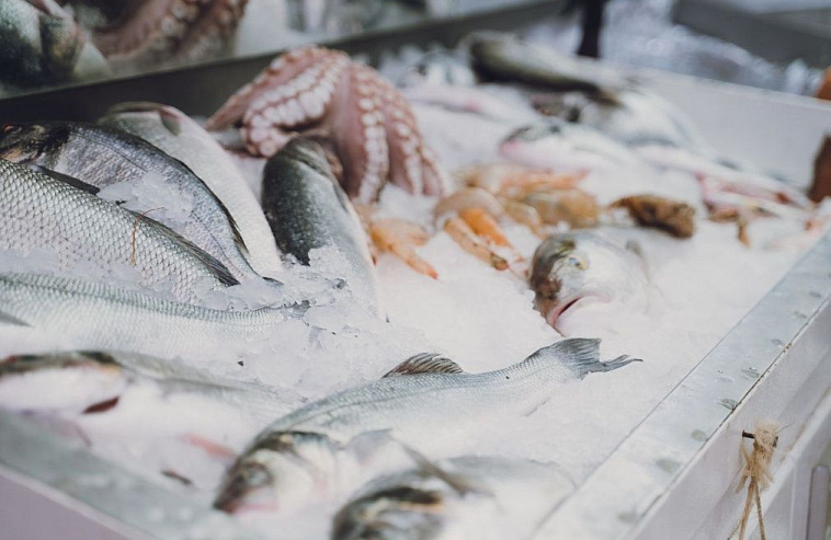 Илья Шестаков: "Российские инновации позволят выращивать рыбу и раков в квартире"