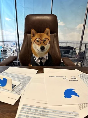 Илон Маск назначил свою собаку на должность исполнительного директора Twitter