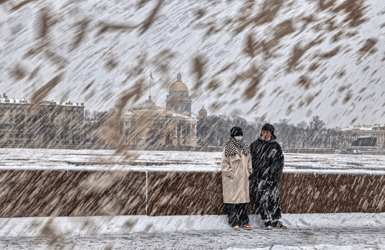 Фото недели. Александр Петросян о снежном апокалипсисе
